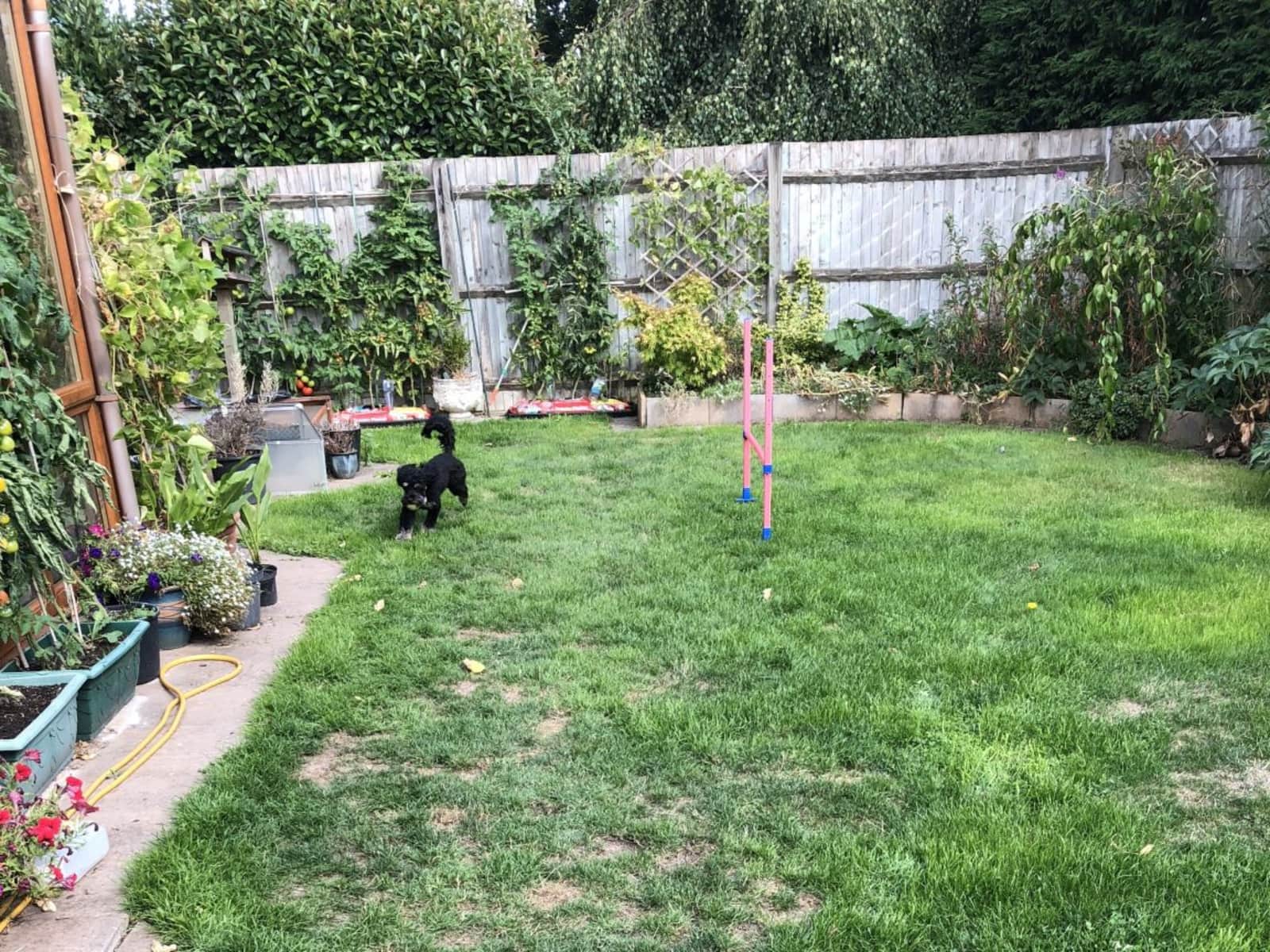 Housesitting assignment in Great Malvern, United Kingdom