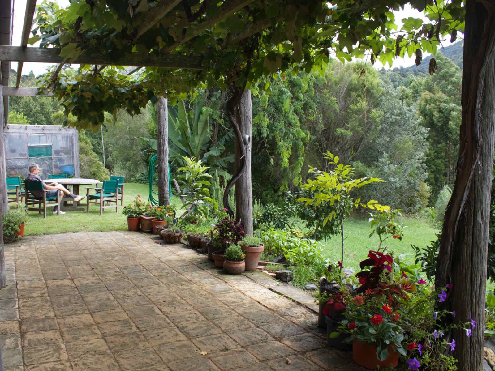 Housesitting assignment in Matakana, New Zealand