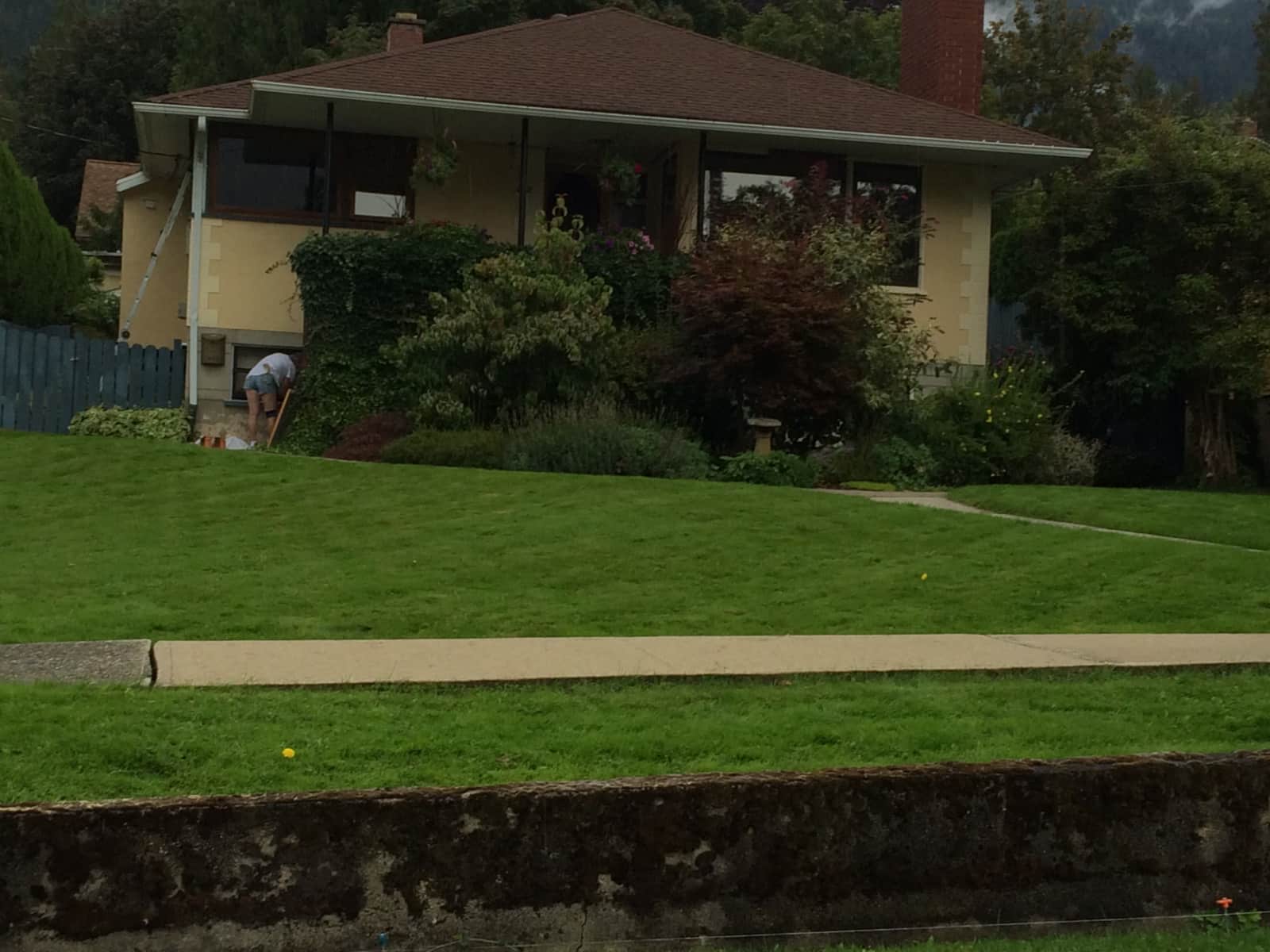 Housesitting assignment in Nelson, British Columbia, Canada