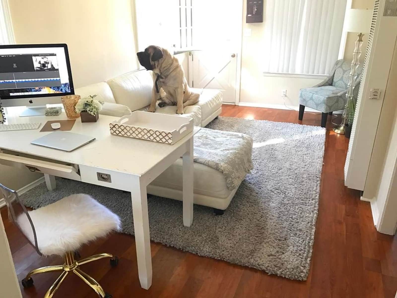 Housesitting assignment in Costa Mesa, California, United States