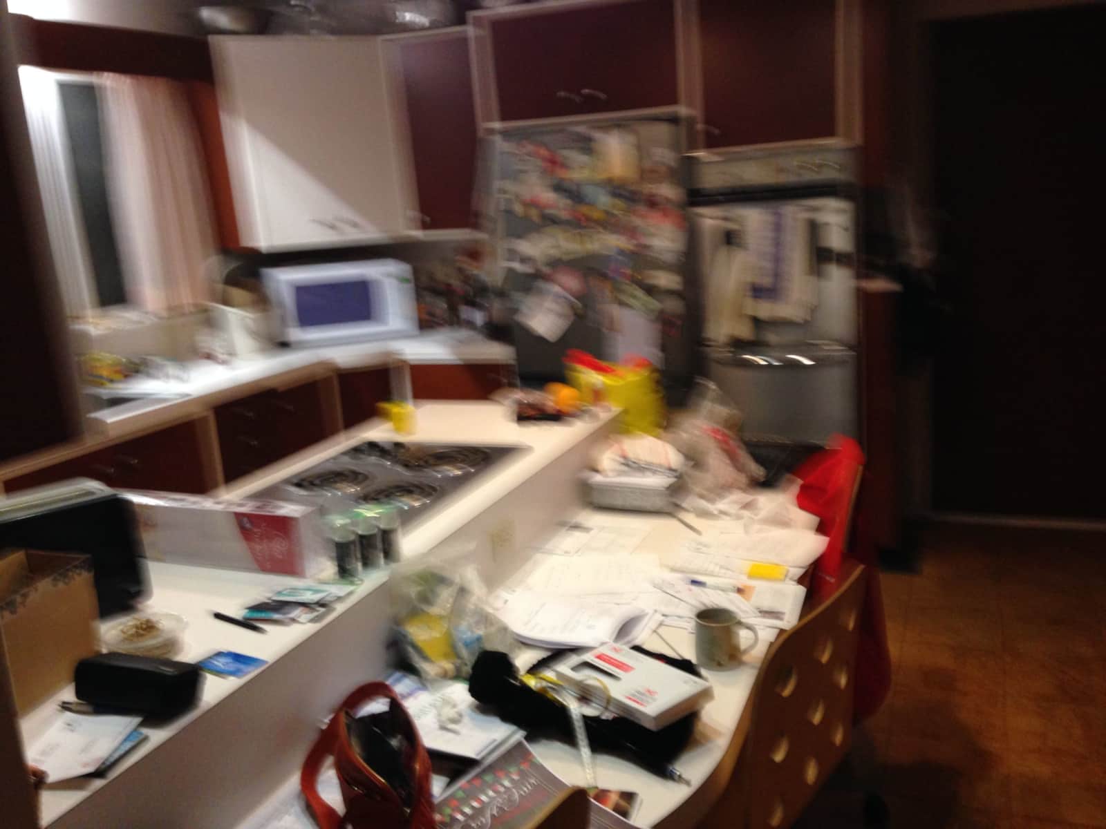 Housesitting assignment in Ottawa, Ontario, Canada