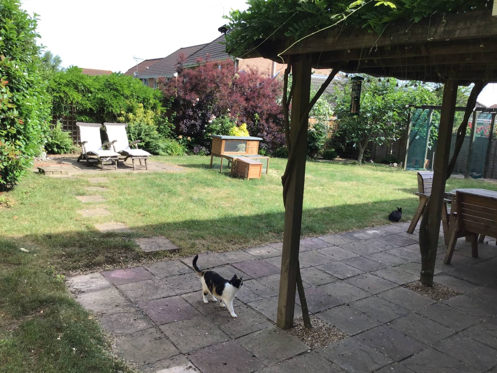 Housesitting assignment in Bury St Edmunds, United Kingdom