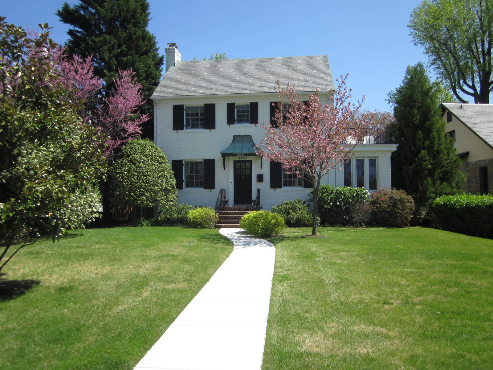 Housesitting assignment in Washington, D.C., Washington, D.C., United States