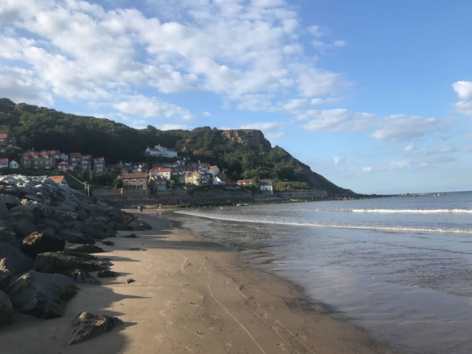 Housesitting assignment in Runswick, United Kingdom