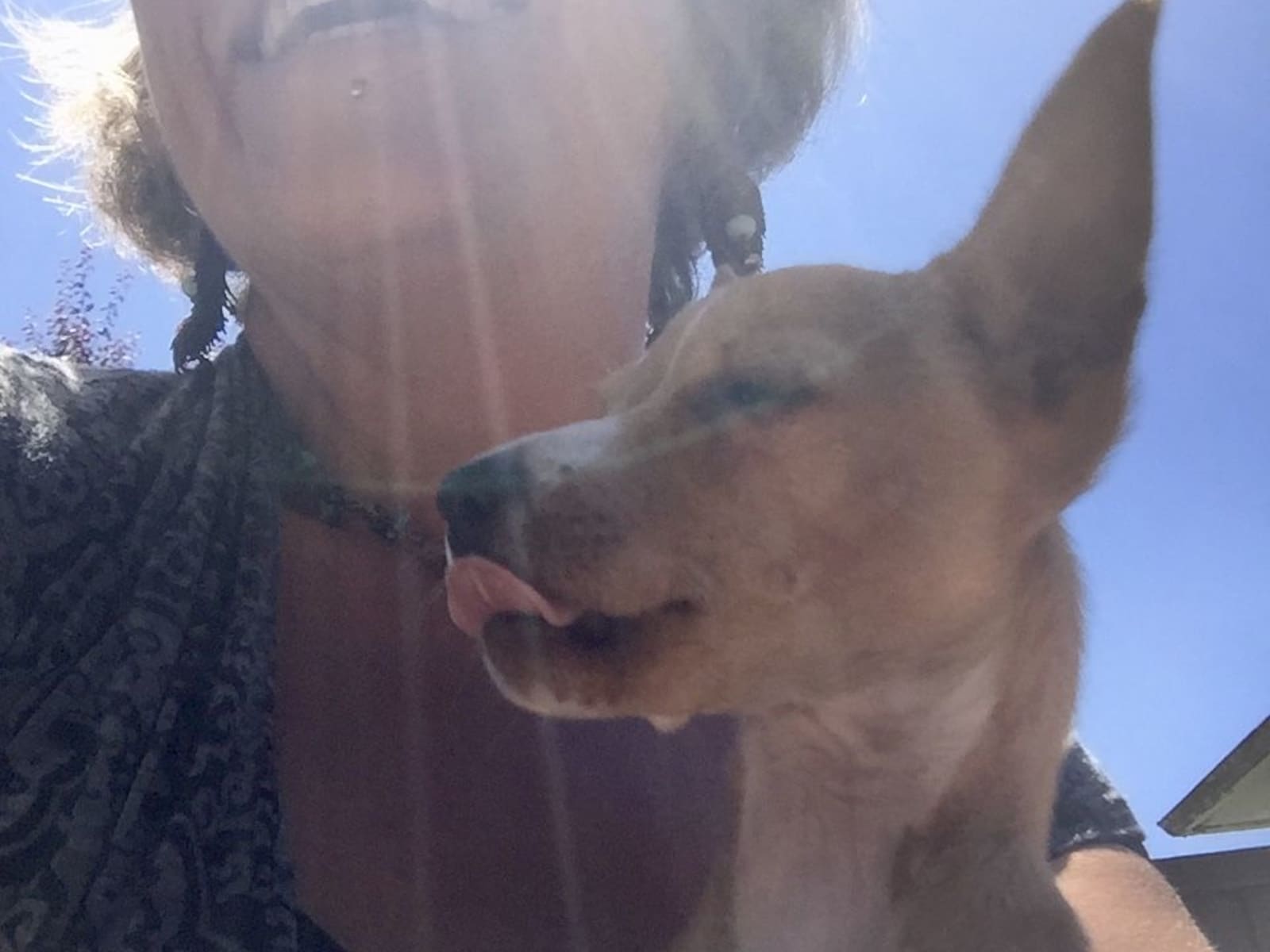 Nancy from Mount Shasta, California, United States