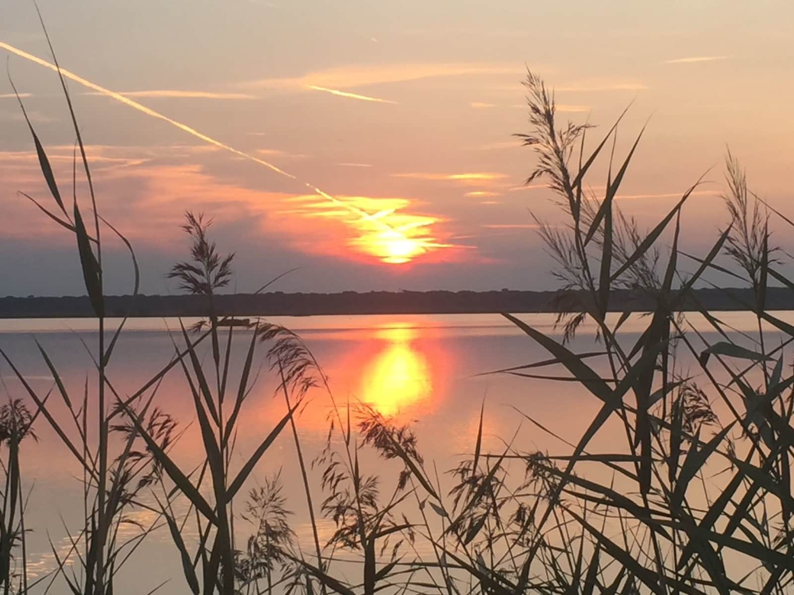 Housesitting assignment in Ravenna, Italy