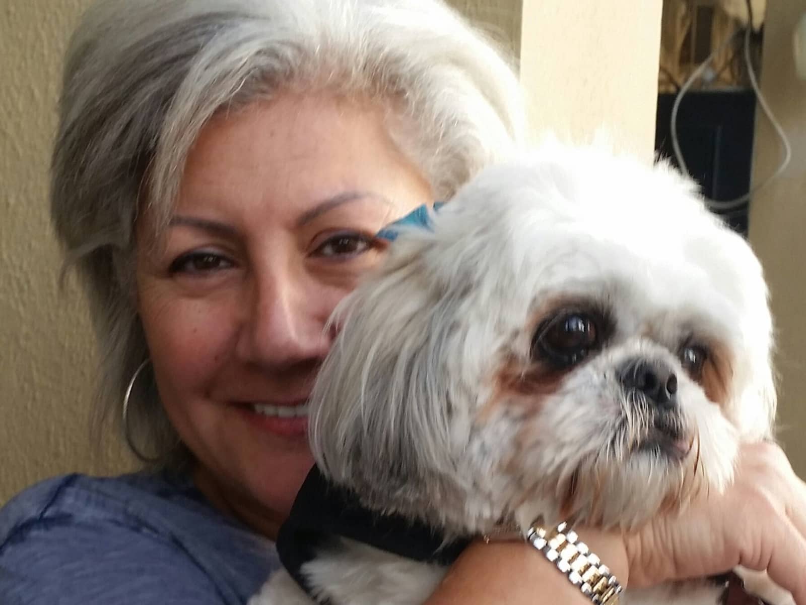 Housesitting assignment in Tel Aviv, Israel