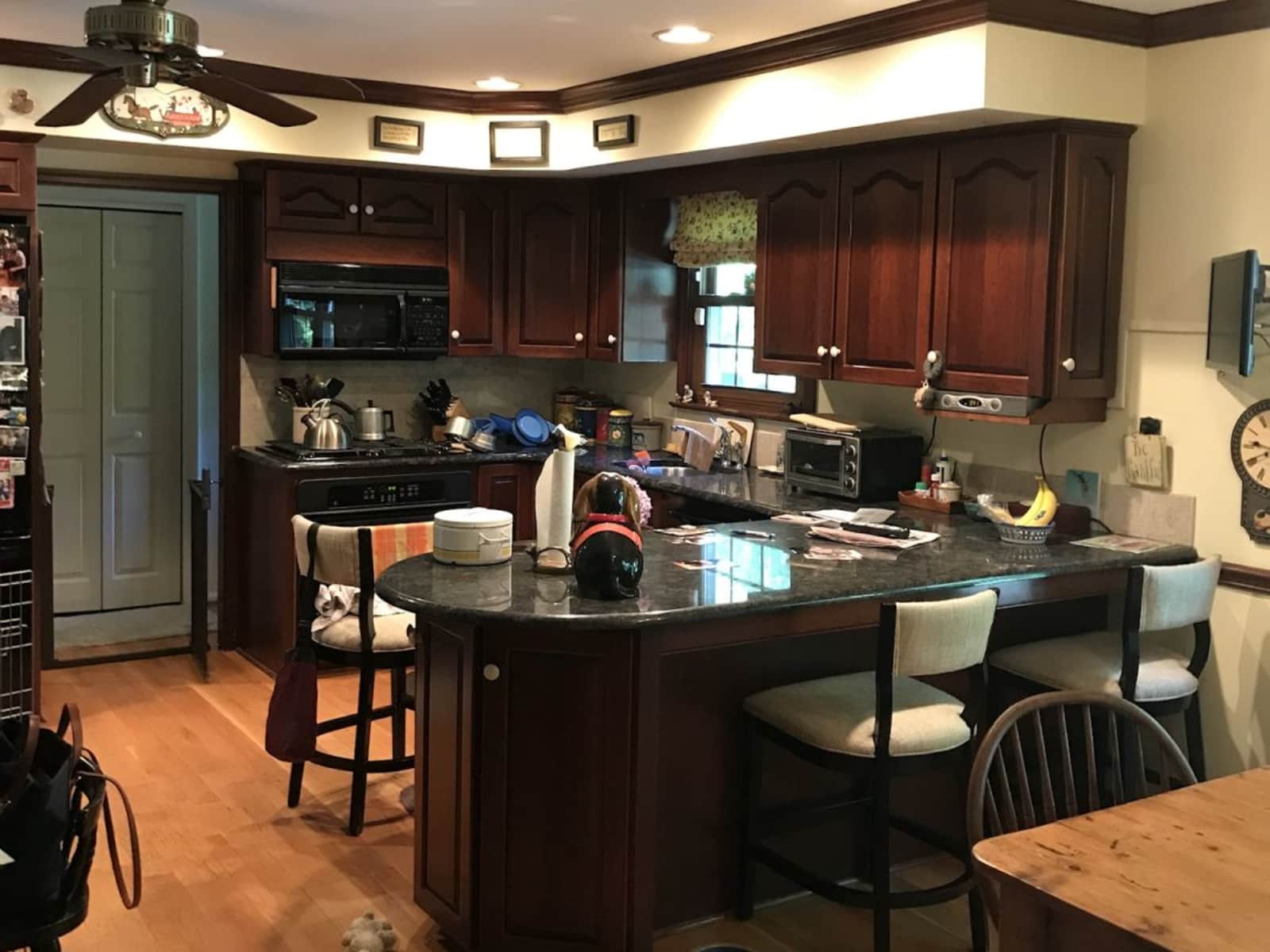 Housesitting assignment in Berwyn, Pennsylvania, United States