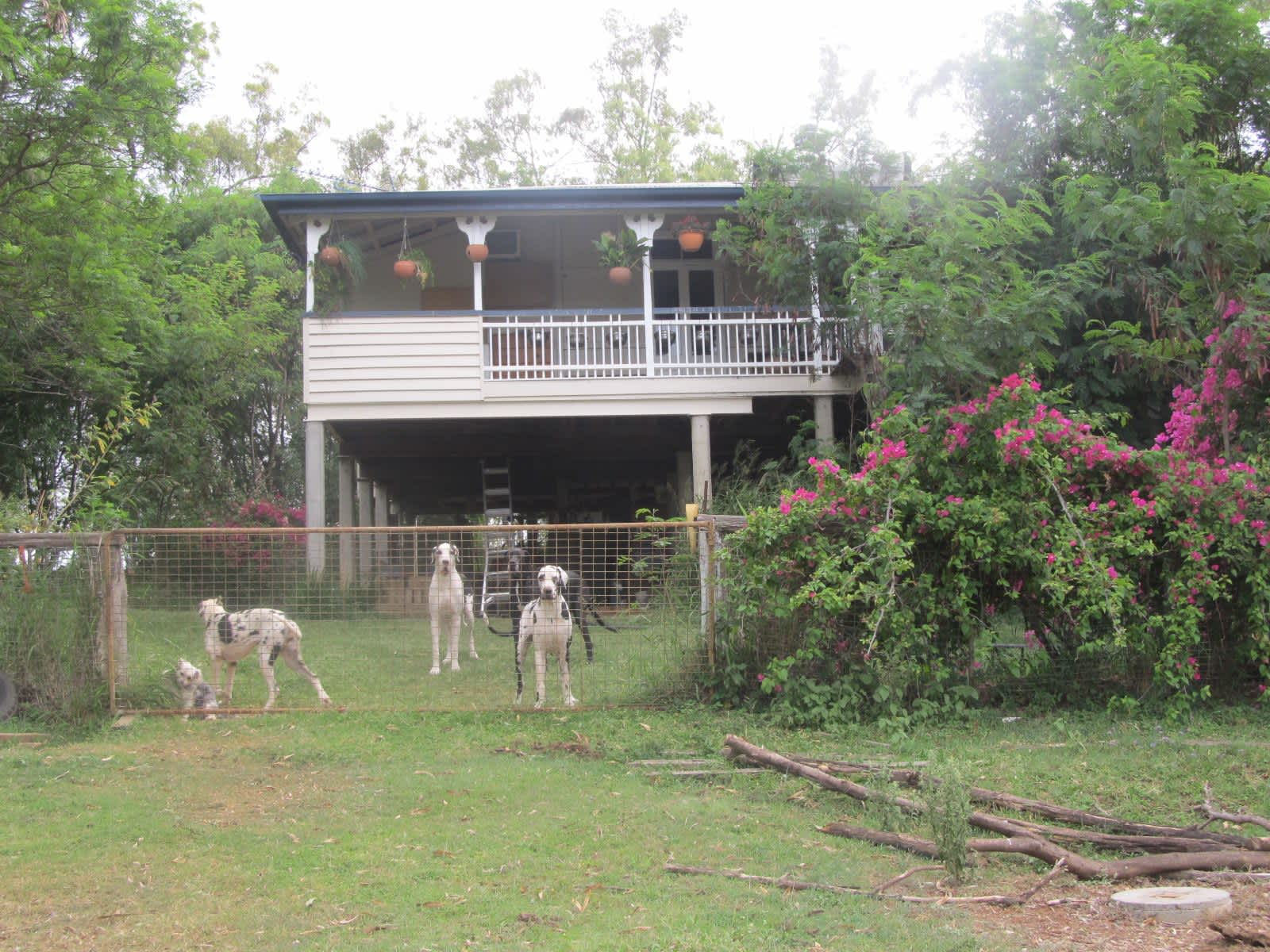 Housesitting assignment in Gatton, Queensland, Australia