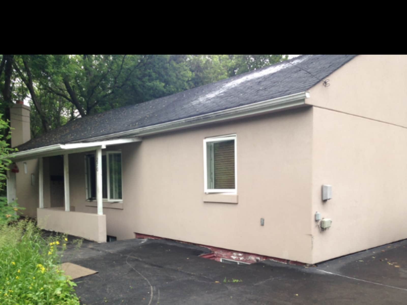 Housesitting assignment in Mississauga, Ontario, Canada