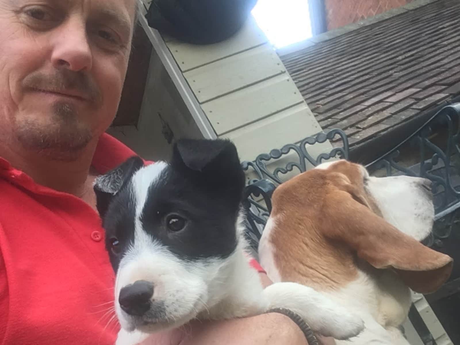 Housesitting assignment in Shrewsbury, United Kingdom