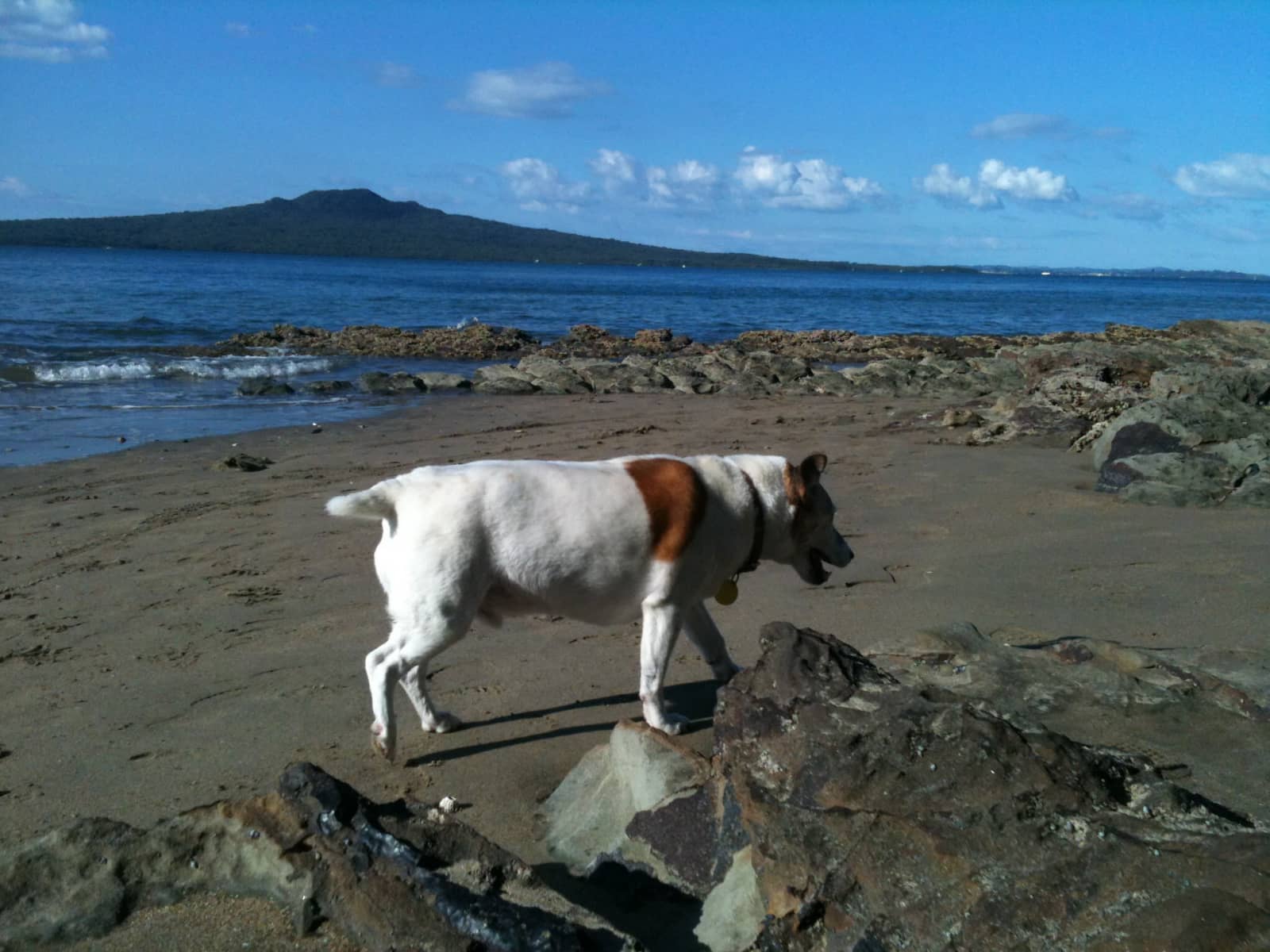 Liane & Stephen from Auckland, New Zealand