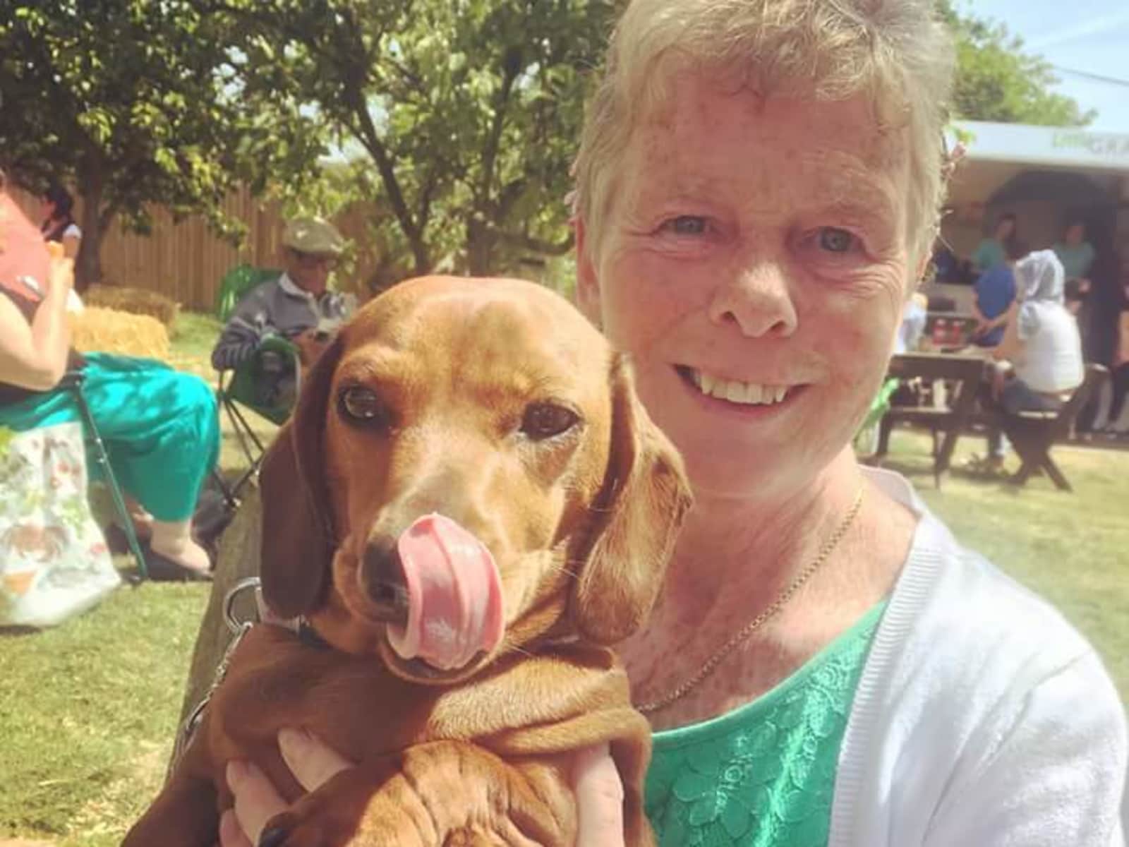 Housesitting assignment in Sompting, United Kingdom