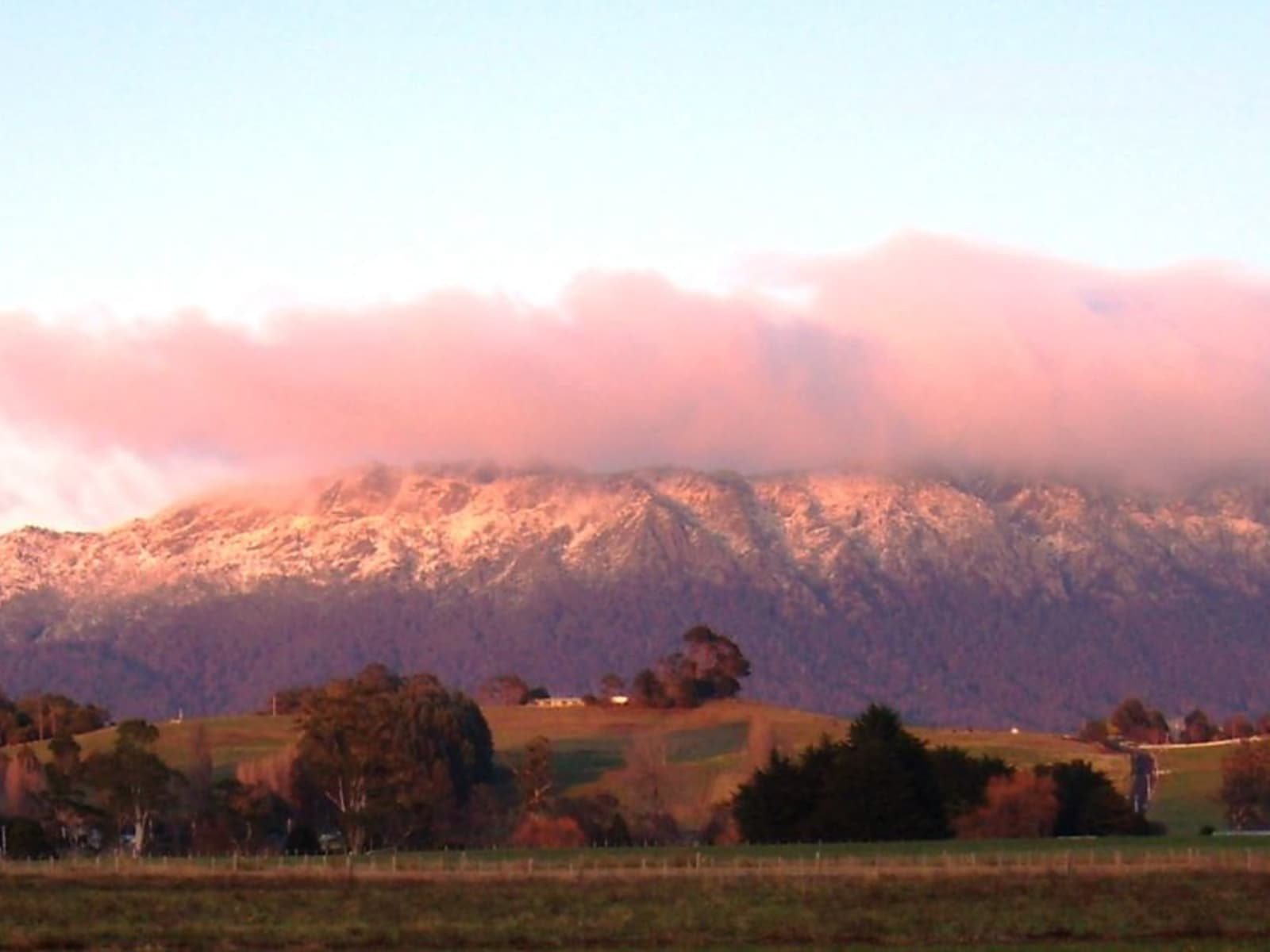 Housesitting assignment in Sheffield, Tasmania, Australia