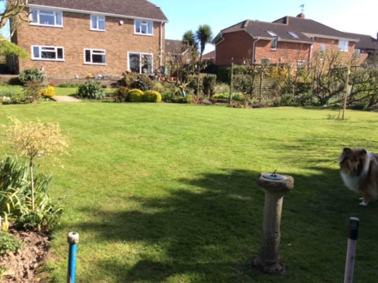 Housesitting assignment in Canterbury, United Kingdom