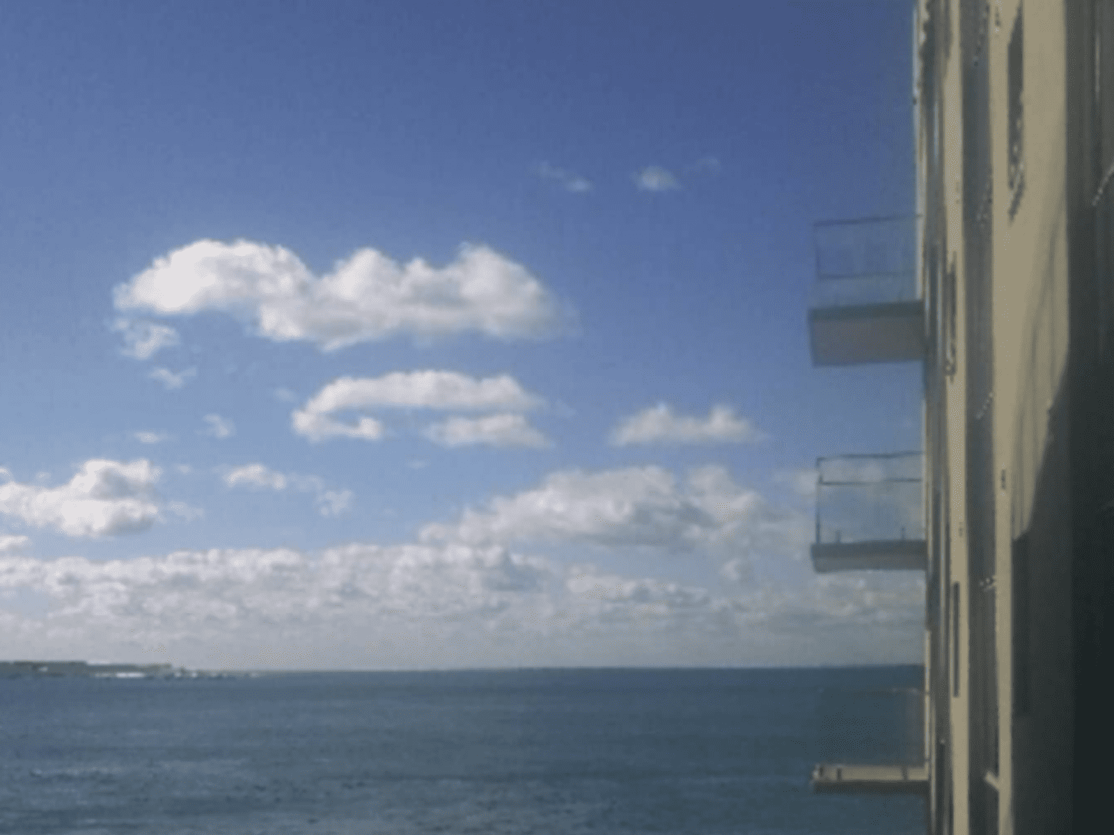 Housesitting assignment in Cronulla, New South Wales, Australia