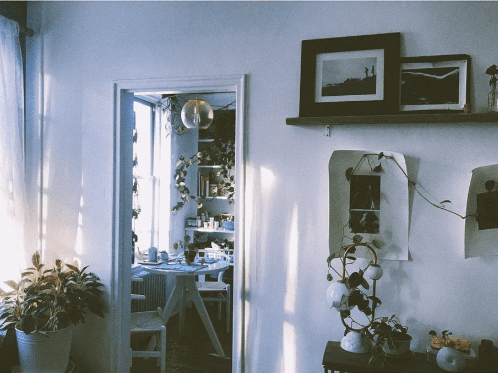 Housesitting assignment in Brooklyn, New York, United States
