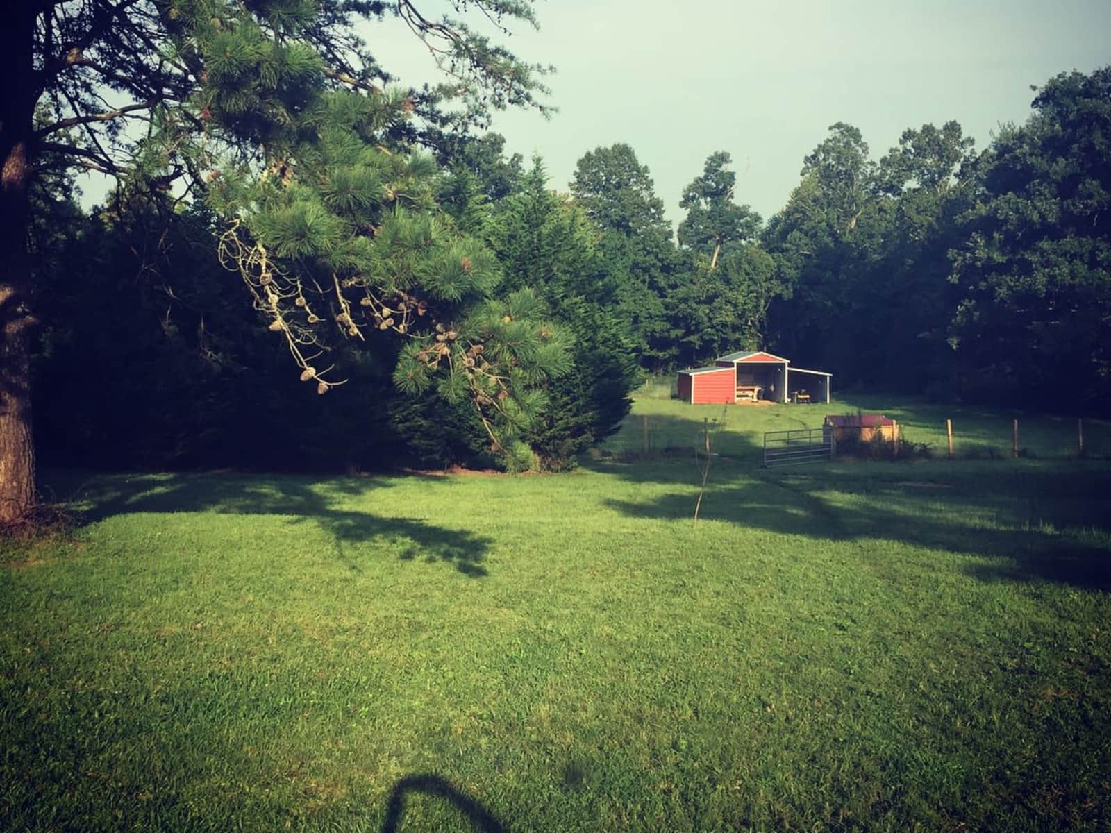 Caitlin & Simon from Asheville, North Carolina, United States