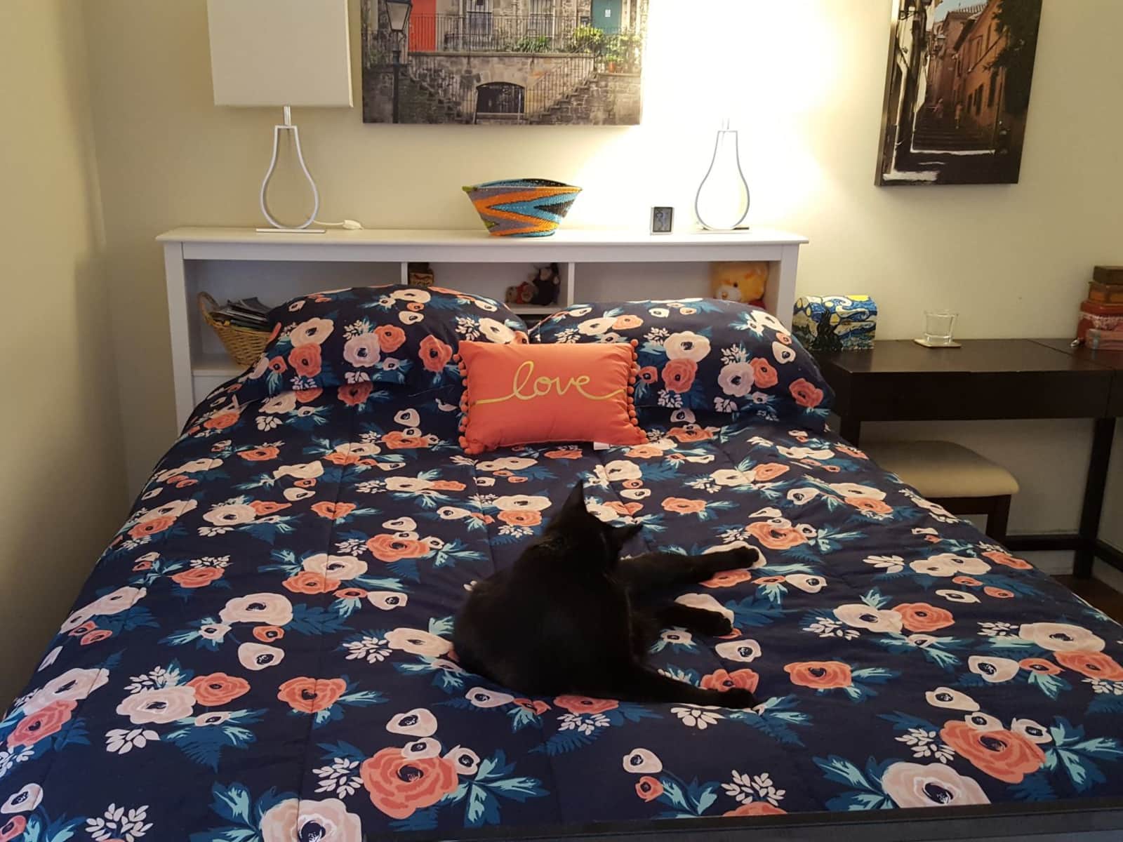 Housesitting assignment in Washington, D.C., Washington, D.C., United States