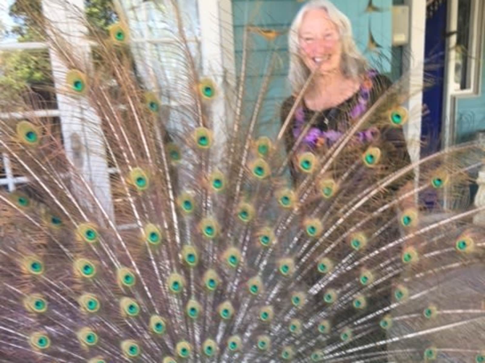 Susan from Perth, Western Australia, Australia