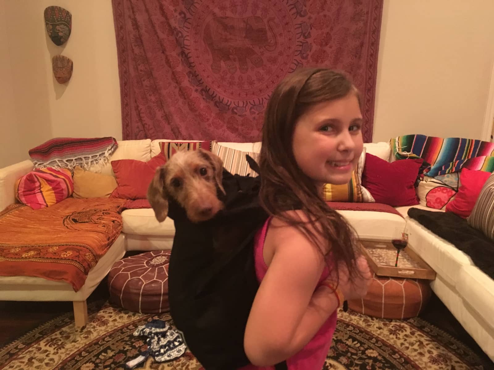 Housesitting assignment in Tyler, Texas, United States