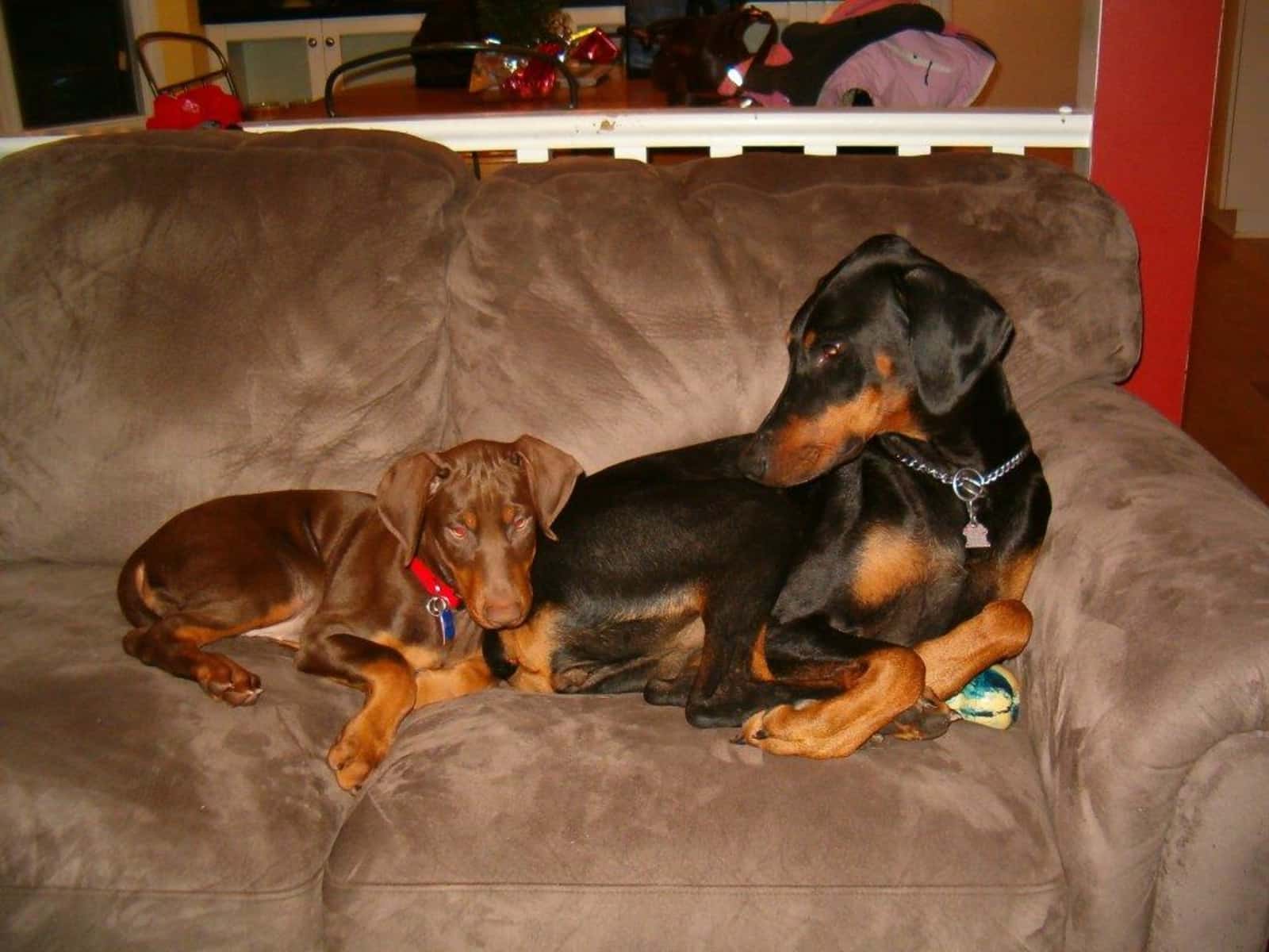 Joann and larry & Larry from Qualicum Beach, British Columbia, Canada