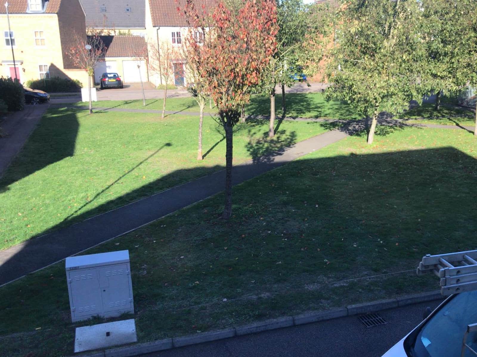 Housesitting assignment in Godmanchester, United Kingdom