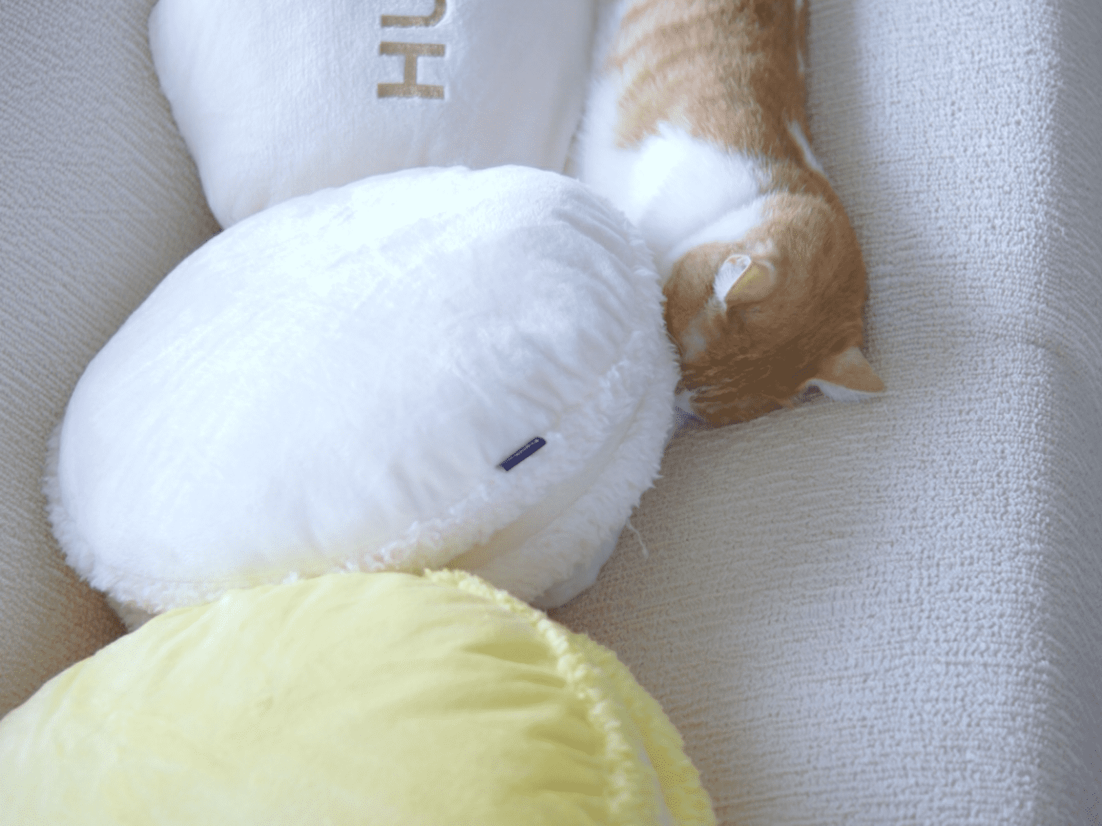 Yuki from Sapporo, Japan