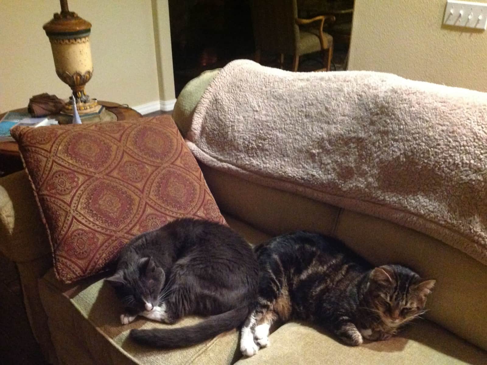 Housesitting assignment in Santa Barbara, California, United States