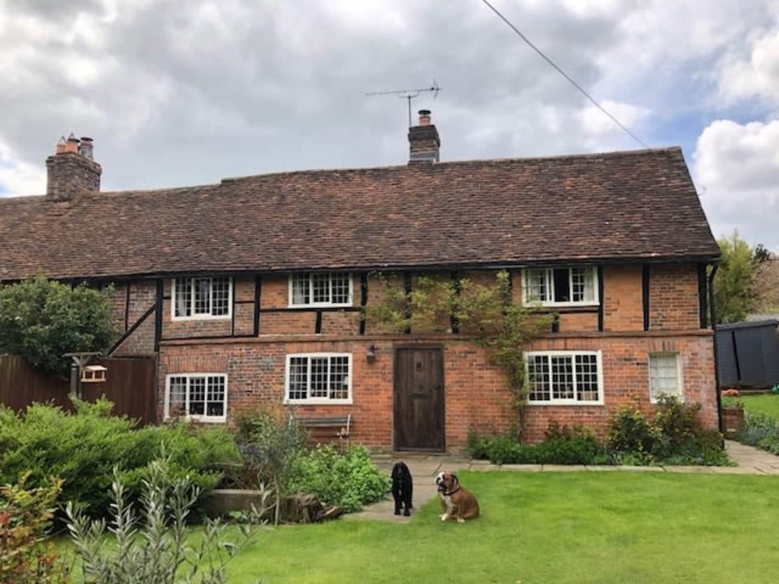 Housesitting assignment in Berkhamsted, United Kingdom
