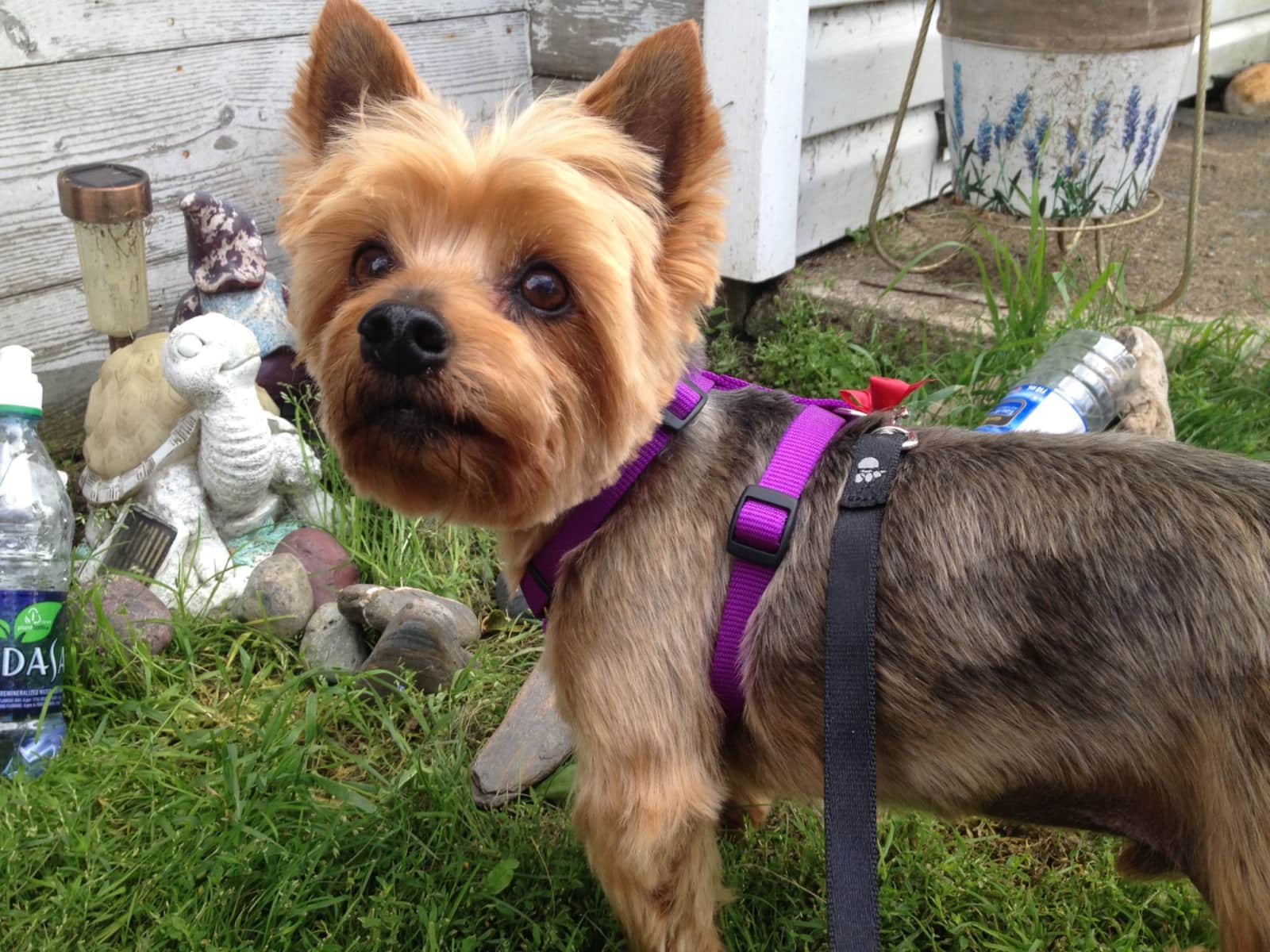 Joanne from Winnipeg, Manitoba, Canada