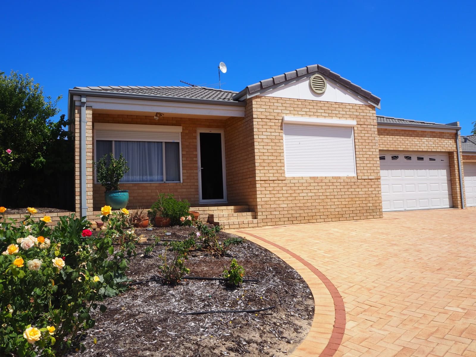 Housesitting assignment in Beeliar, Western Australia, Australia