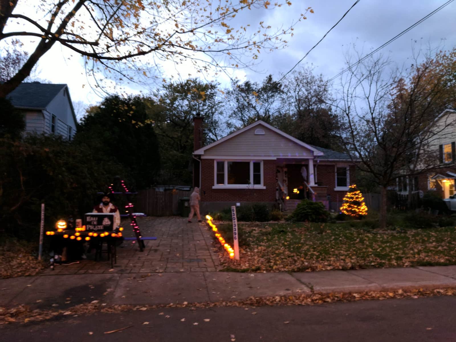 Housesitting assignment in Pointe-Claire, Quebec, Canada