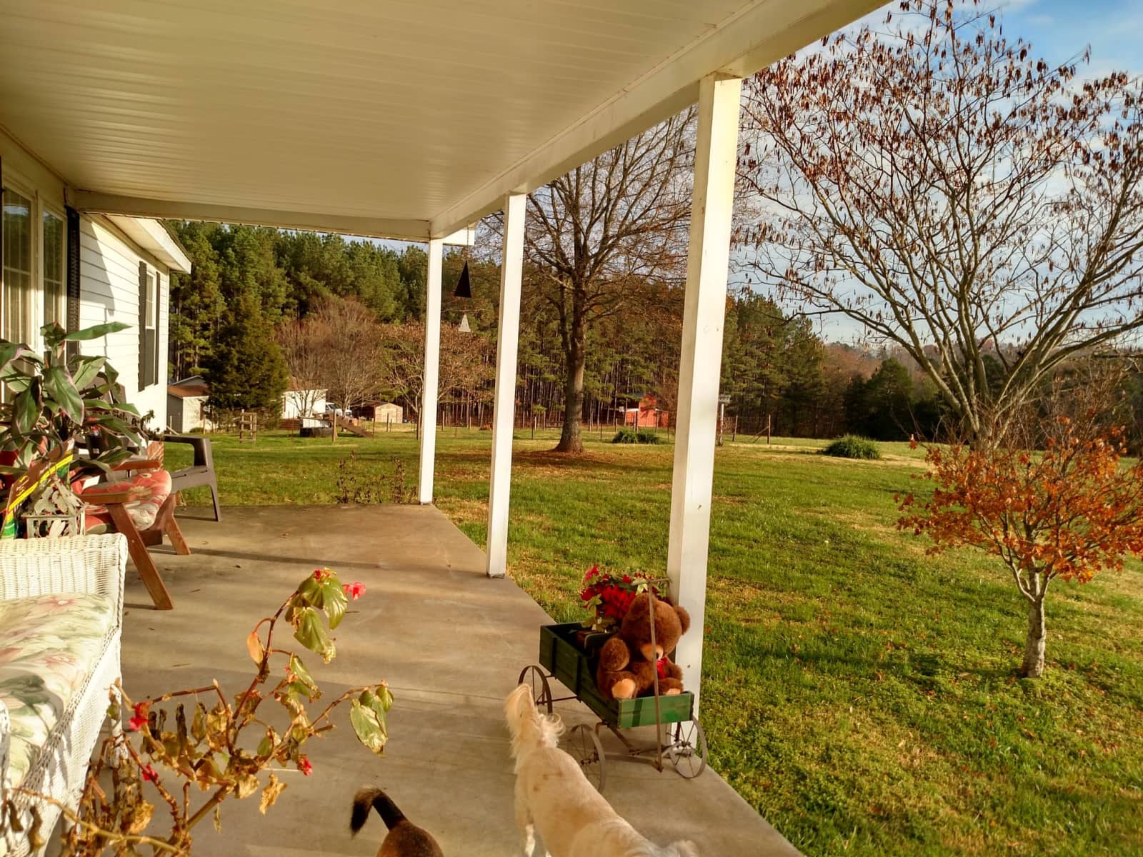 Housesitting assignment in Kings Mountain, North Carolina, United States