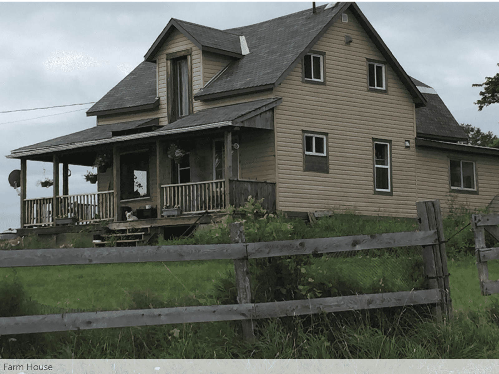 Housesitting assignment in Brennan's Hill, Quebec, Canada