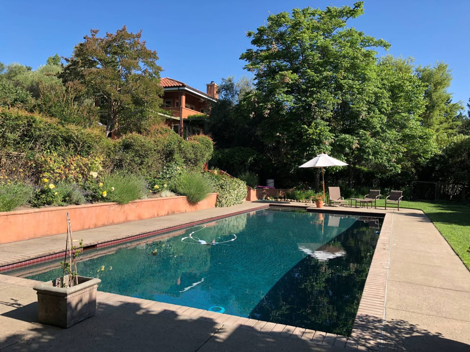 Housesitting assignment in Napa, California, United States