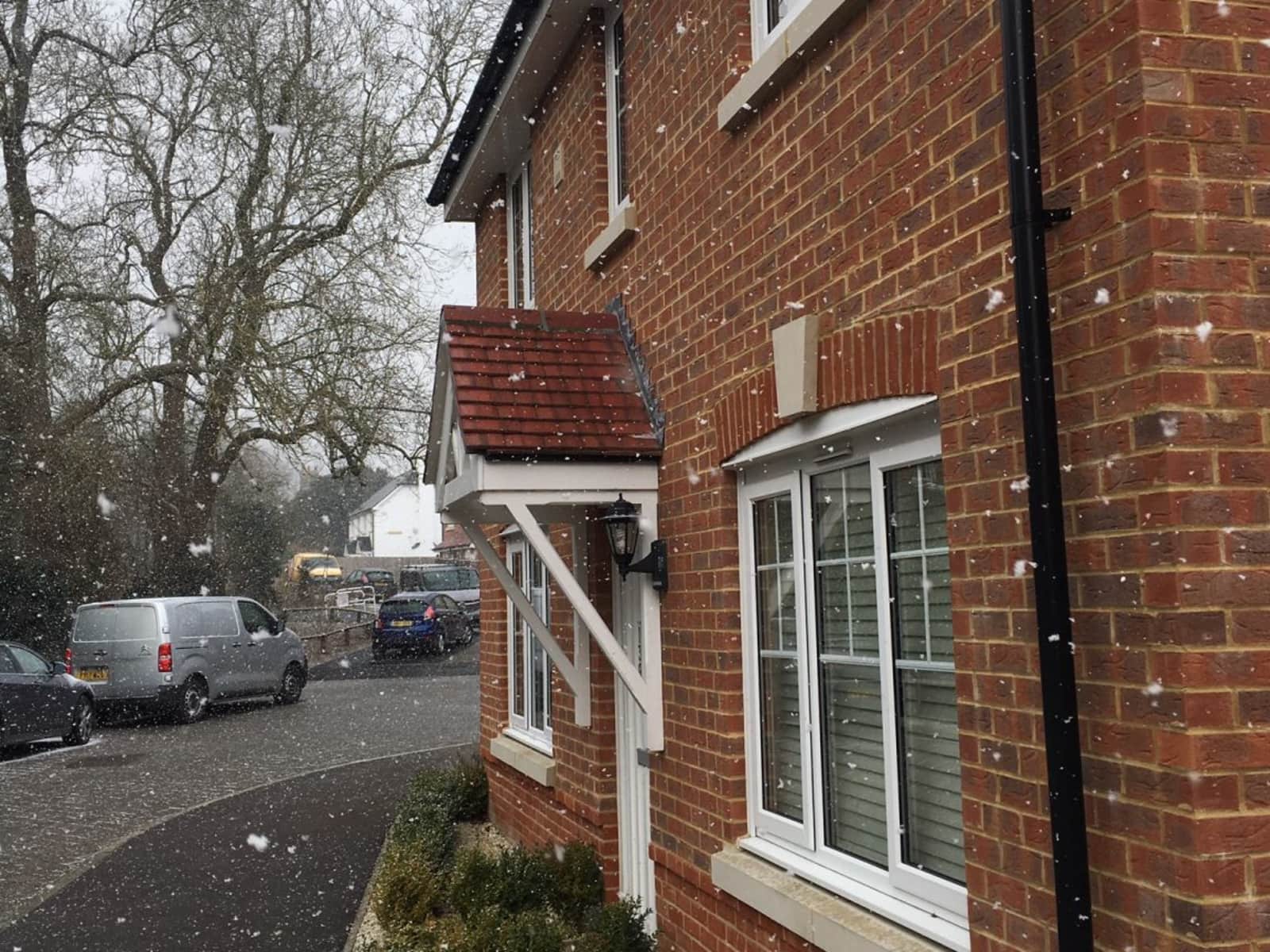 Housesitting assignment in Alton, United Kingdom