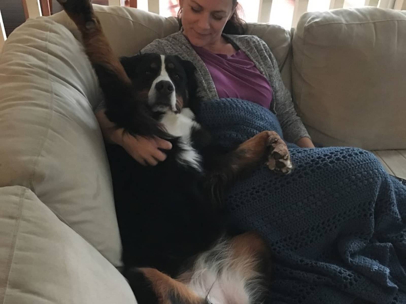 Housesitting assignment in Coquitlam, British Columbia, Canada