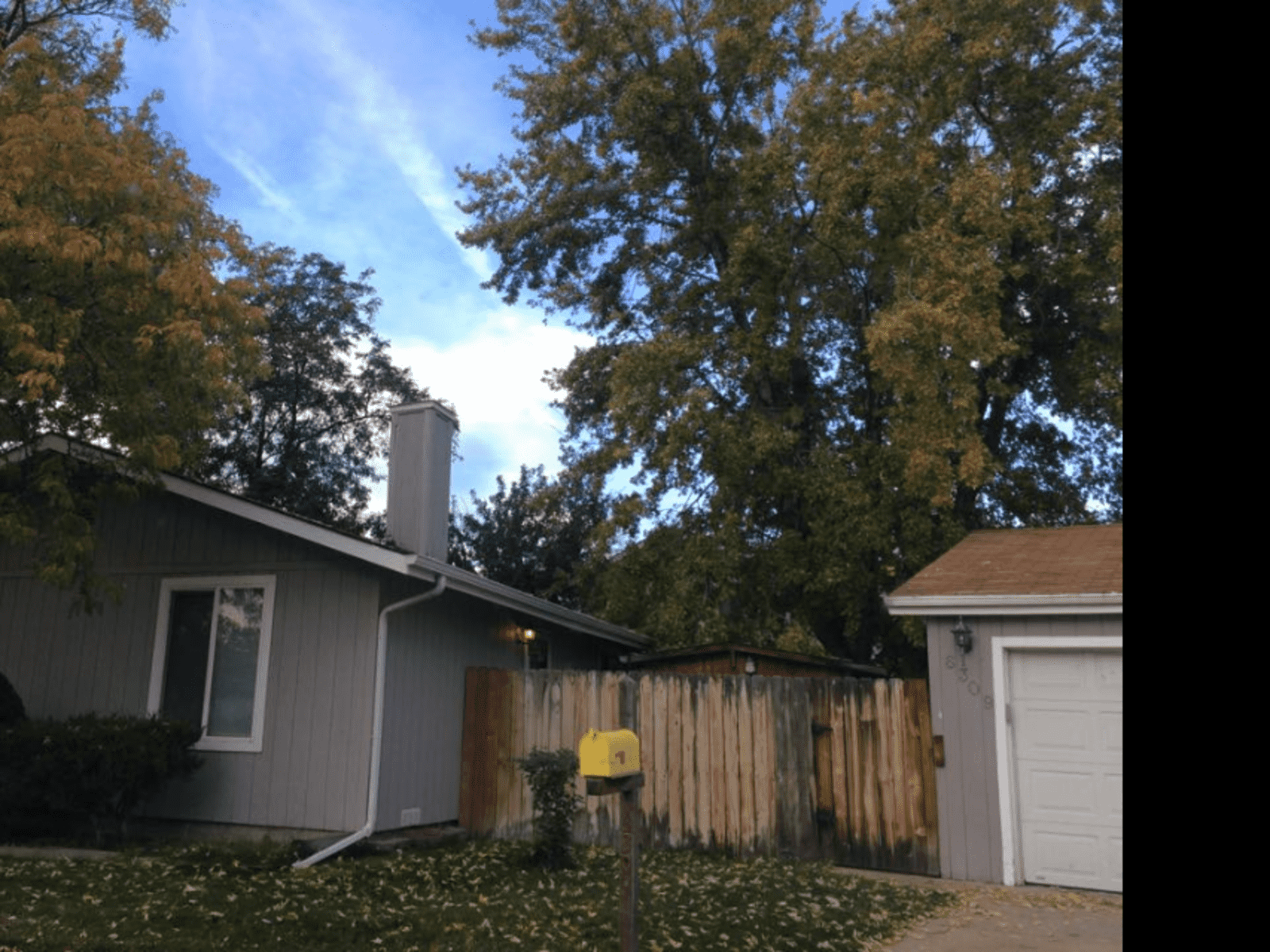 Housesitting assignment in Westminster, Colorado, United States