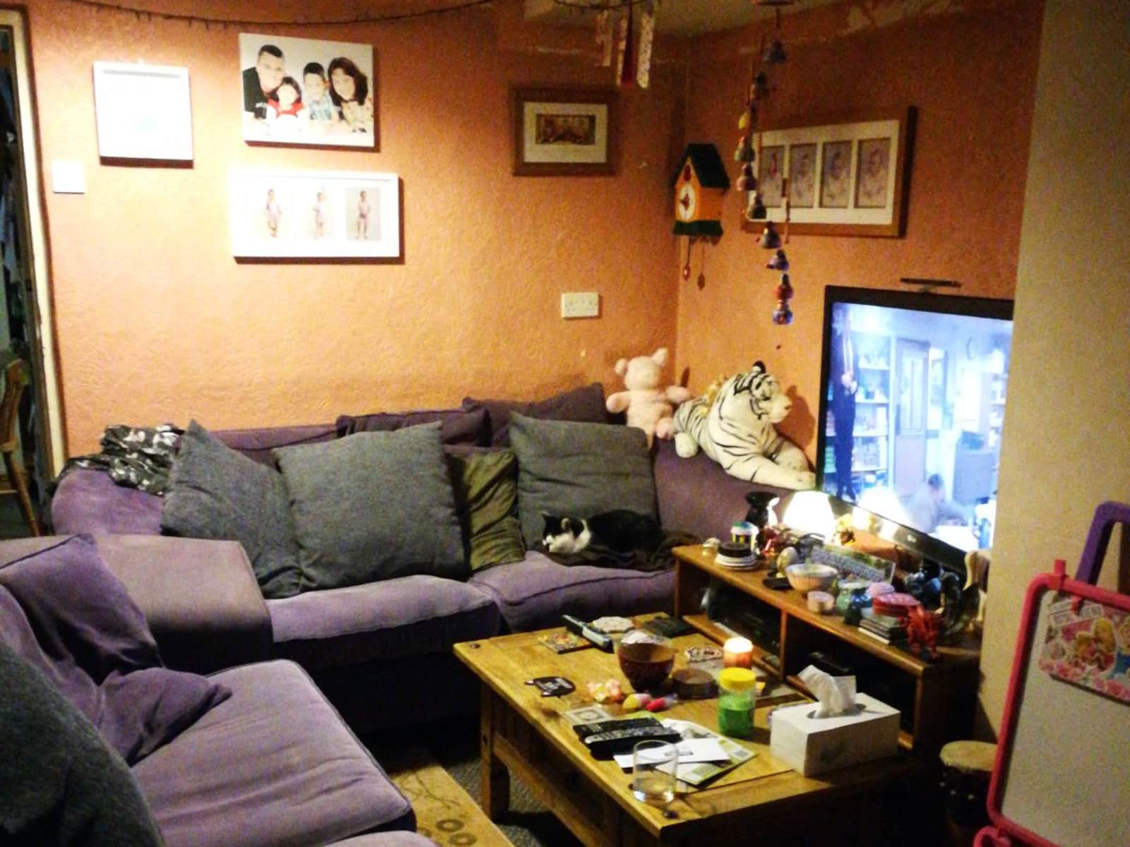 Housesitting assignment in Haverfordwest, United Kingdom