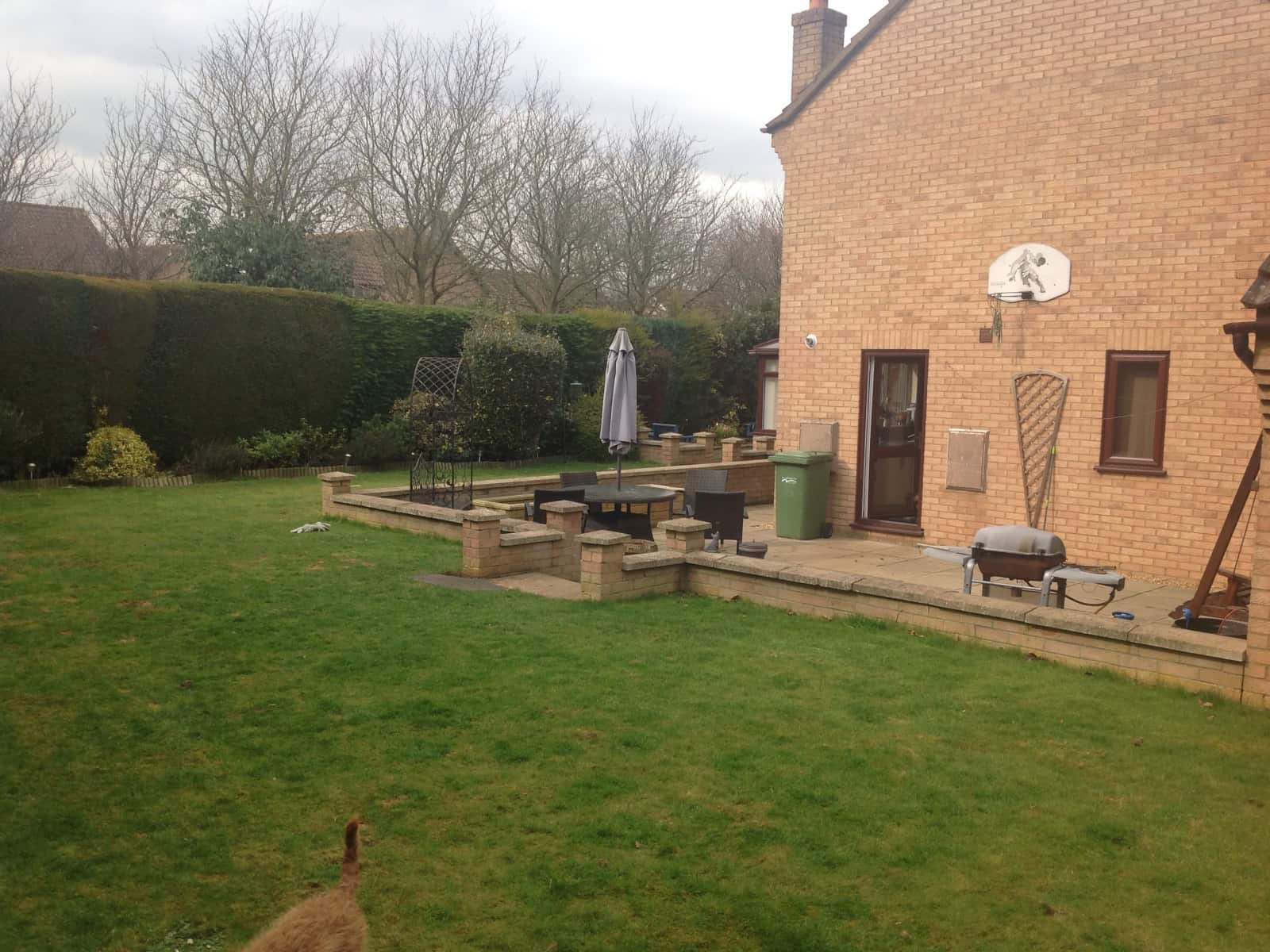 Housesitting assignment in Peterborough, United Kingdom
