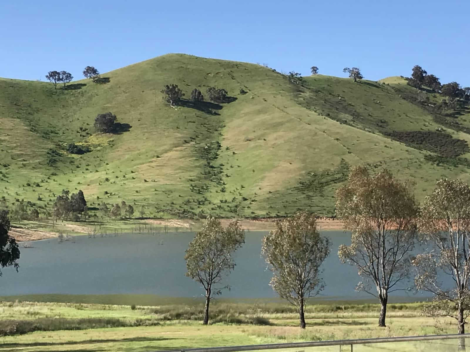 Housesitting assignment in Bonnie Doon, Victoria, Australia
