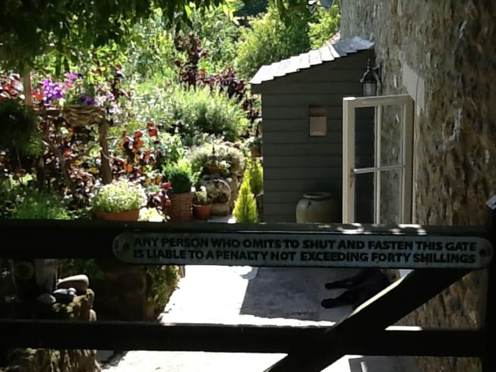 Housesitting assignment in Mere, United Kingdom