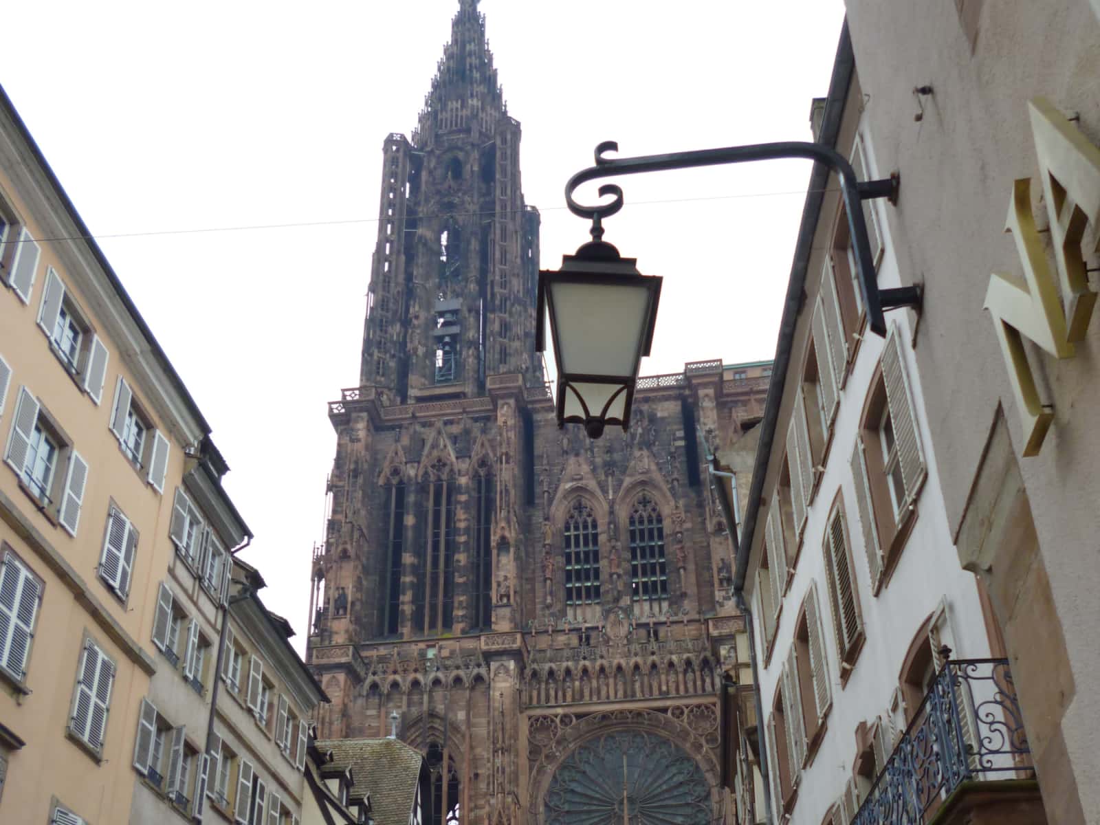 Housesitting assignment in Strasbourg, France