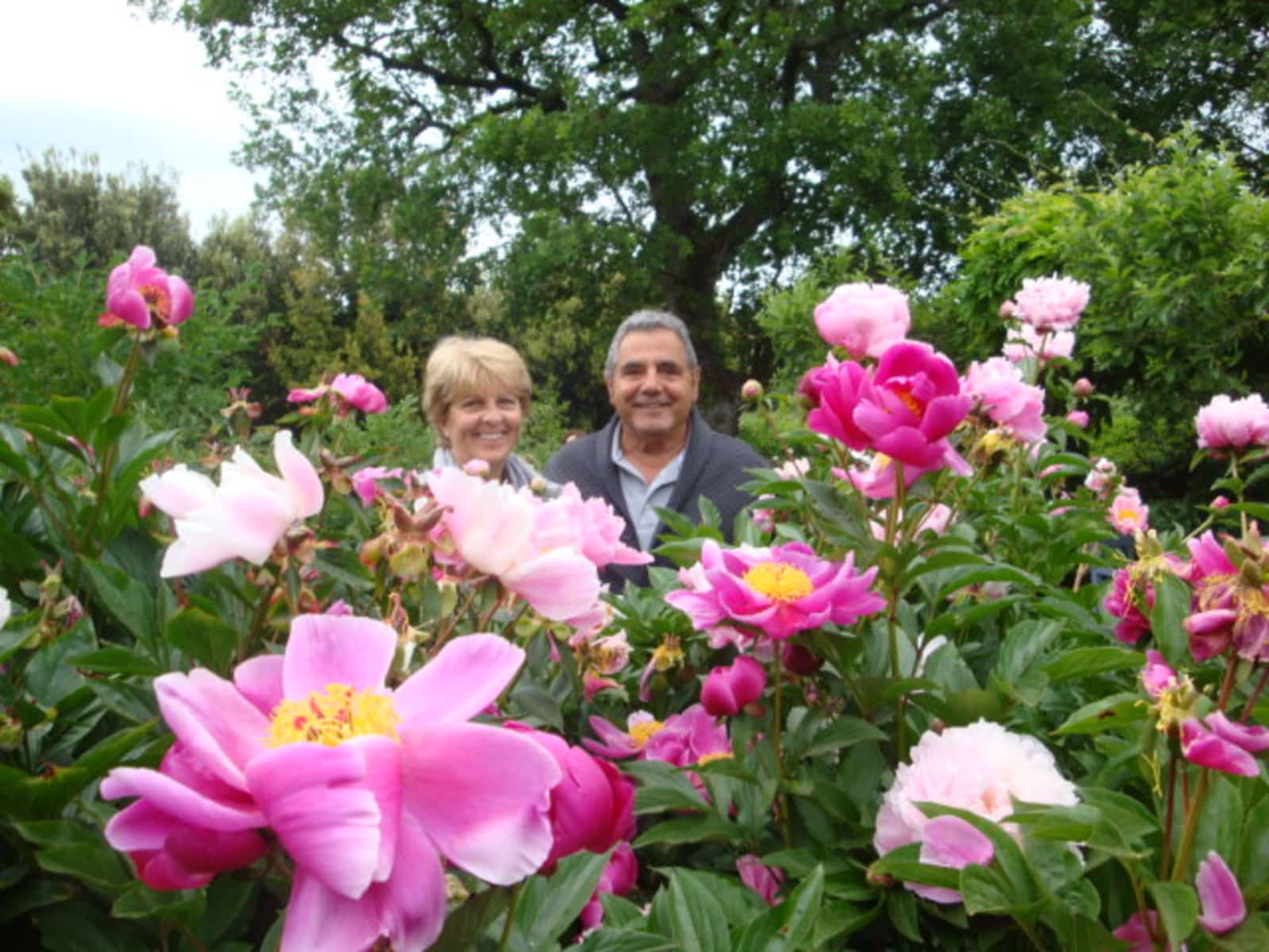 Mary & Ronald from Saint Petersburg, Florida, United States