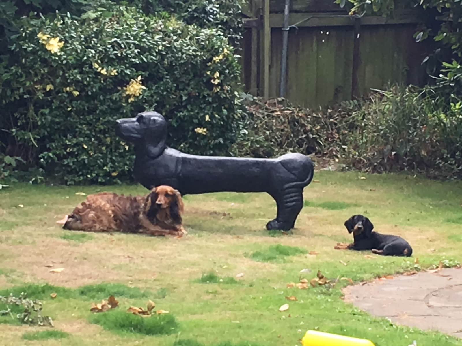 Housesitting assignment in Crosby, United Kingdom