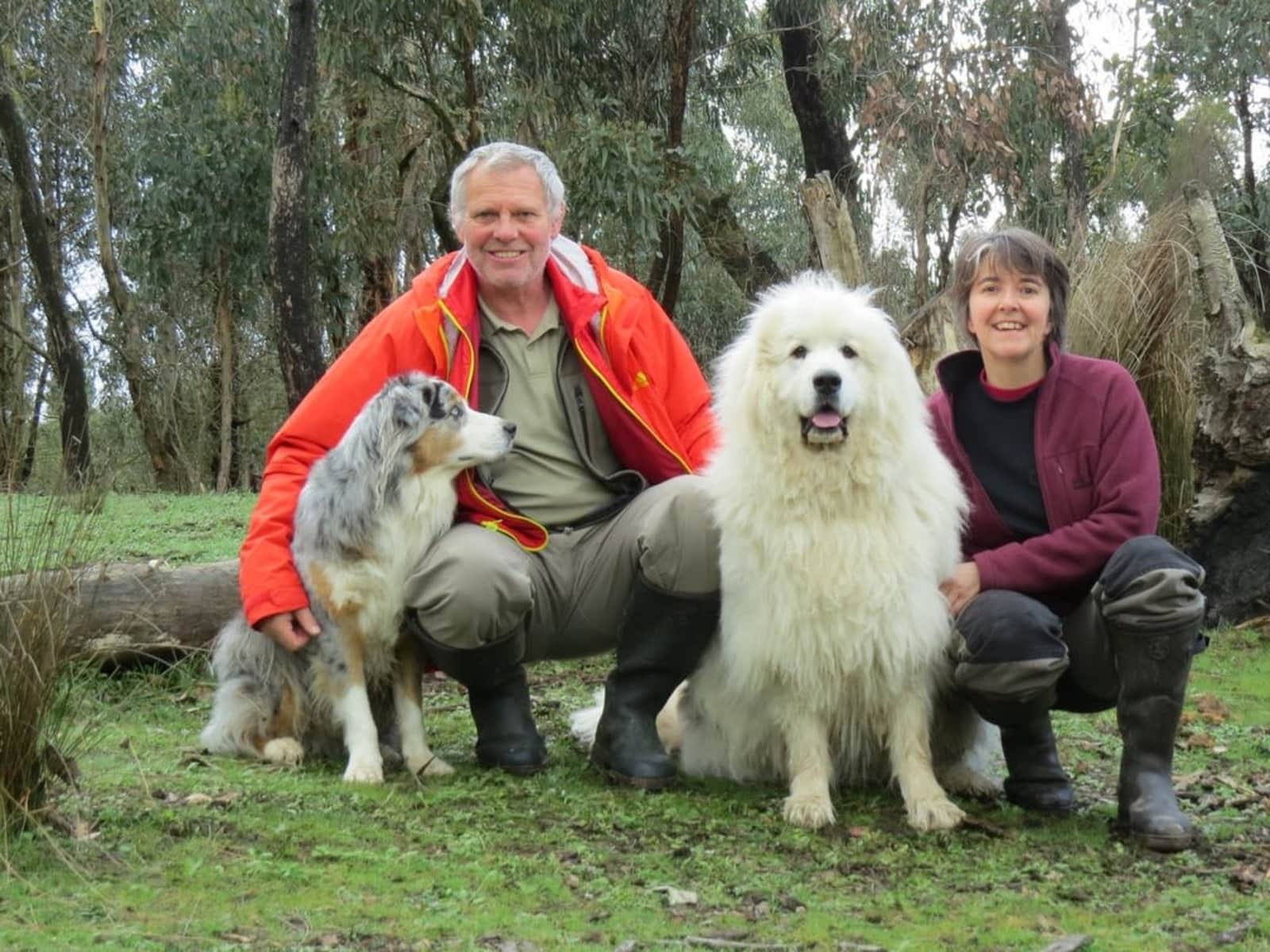 Anita (frankie) & Stephen (rocky) from Dursley, United Kingdom
