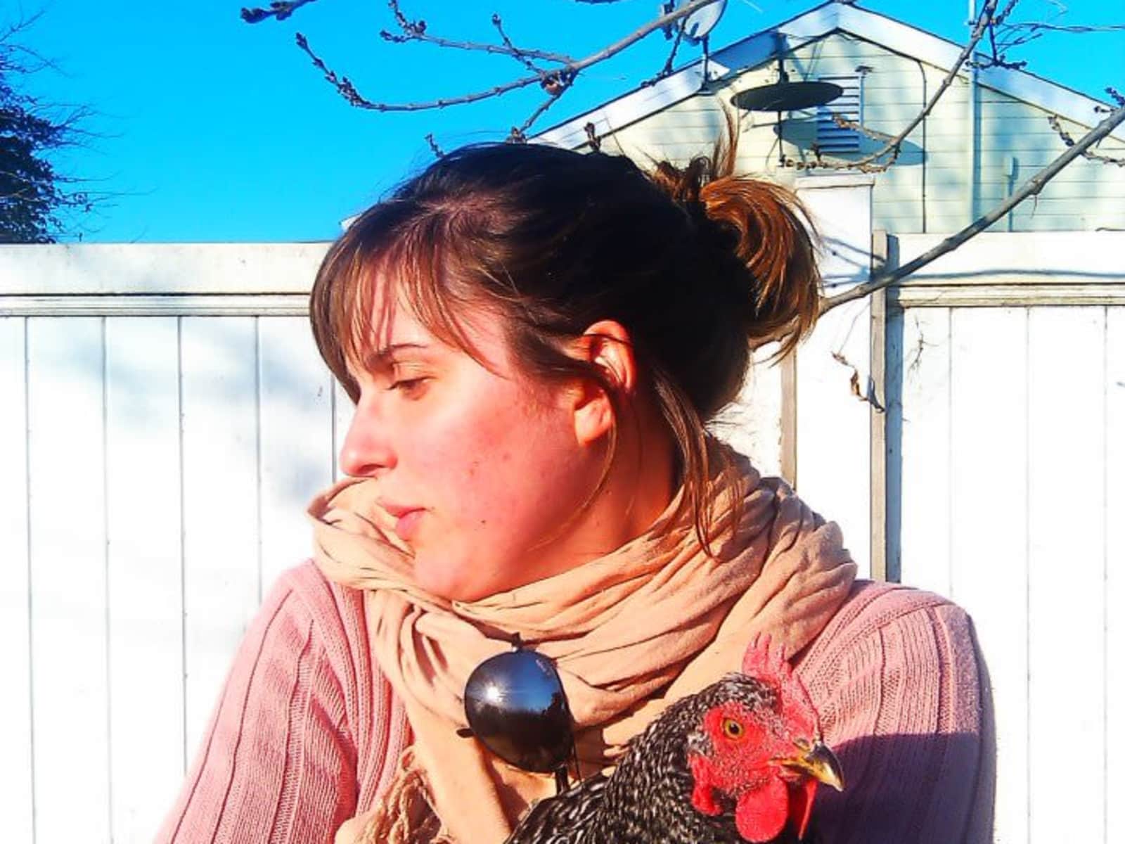 Meredith & Béla from San Jose, California, United States