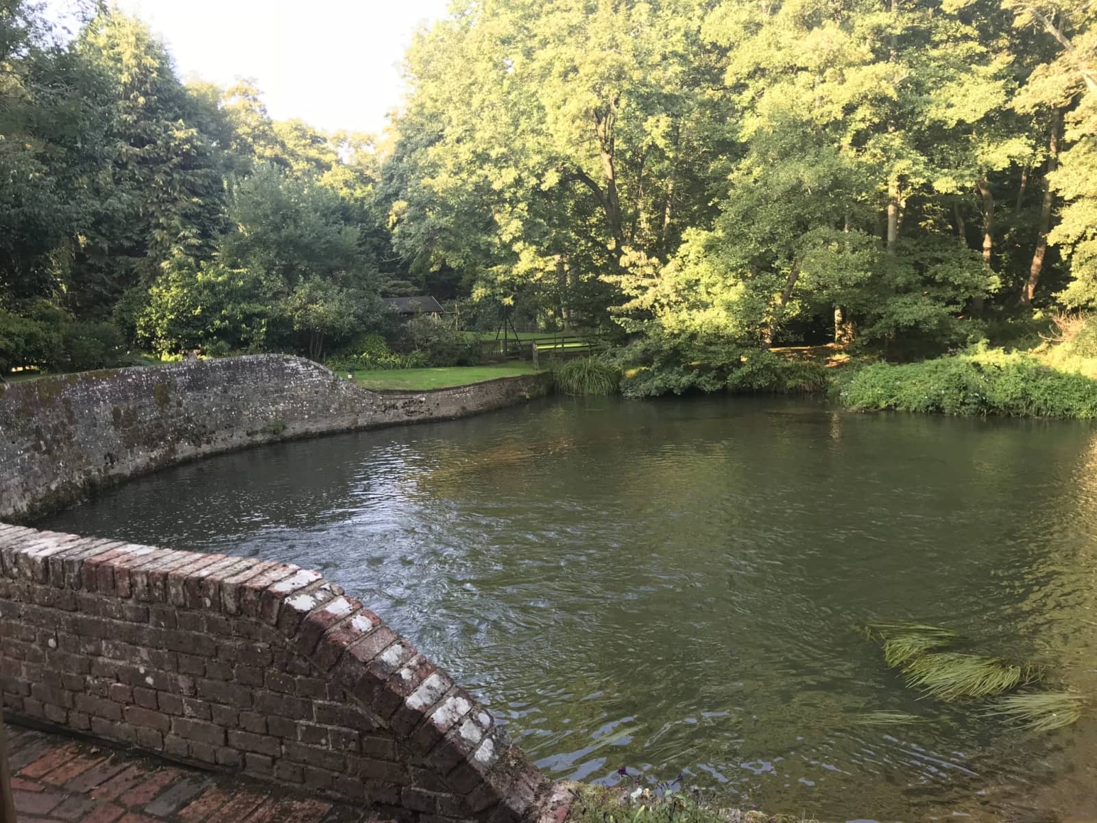 Housesitting assignment in Petersfield, United Kingdom