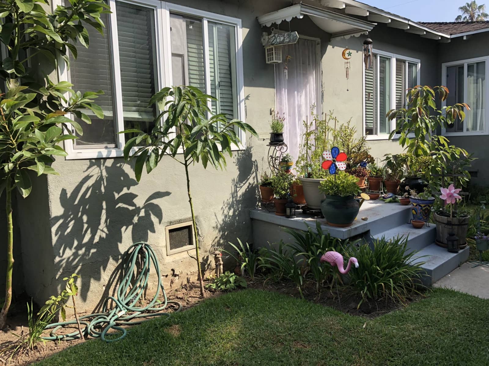 Housesitting assignment in Santa Monica, California, United States
